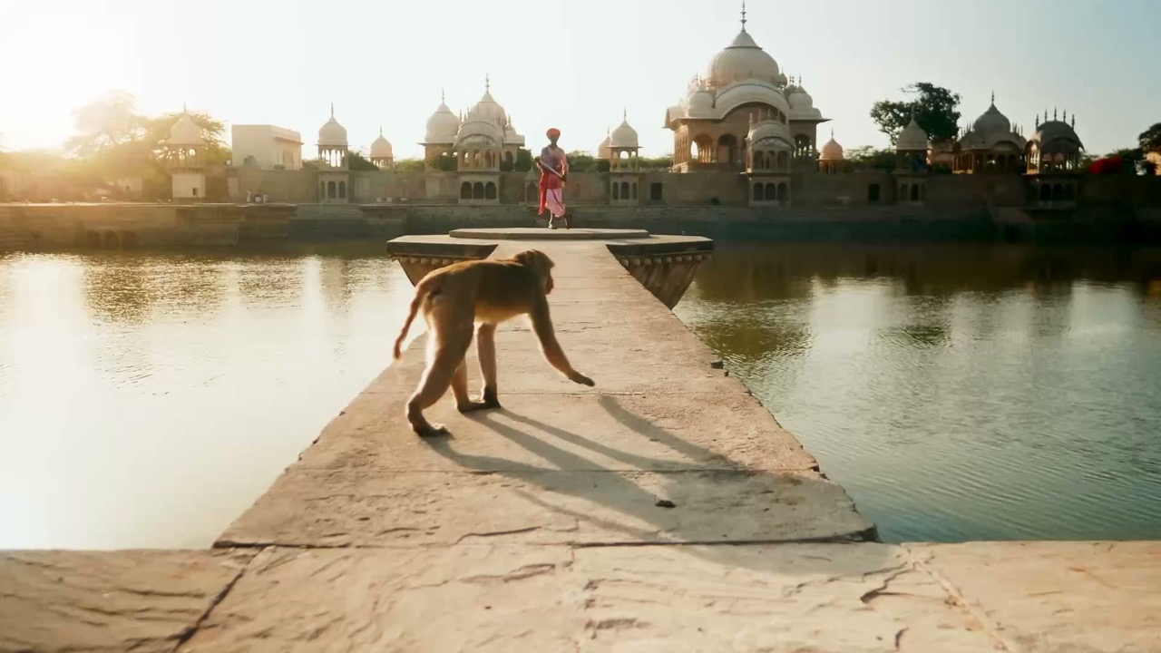 Panasonic — LILA — The Divine Play